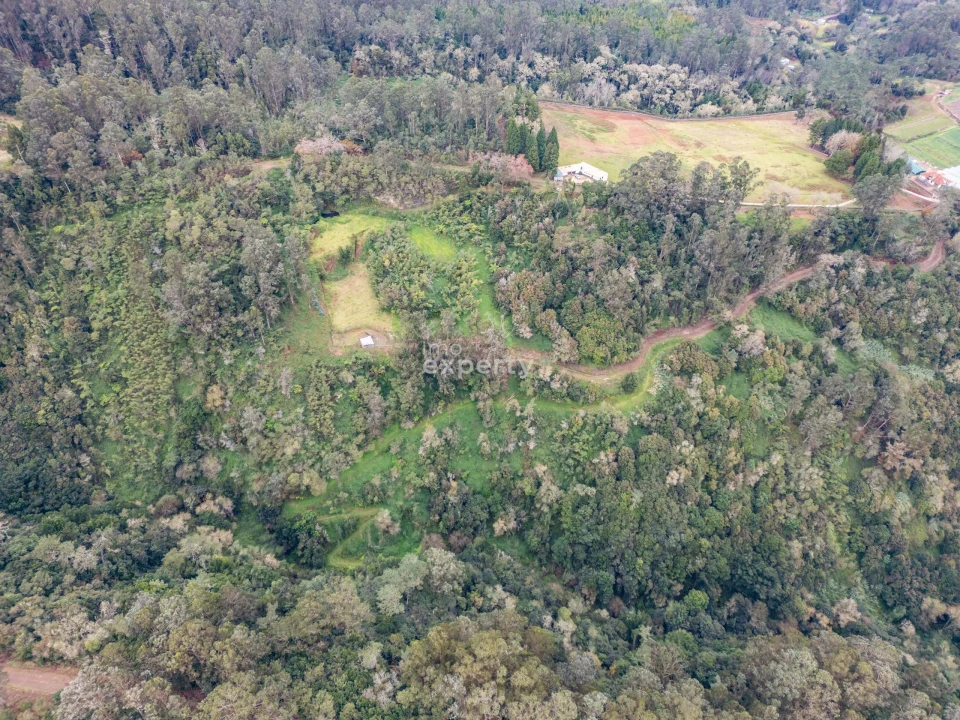 Terreno para Venda em Santana Foto 5