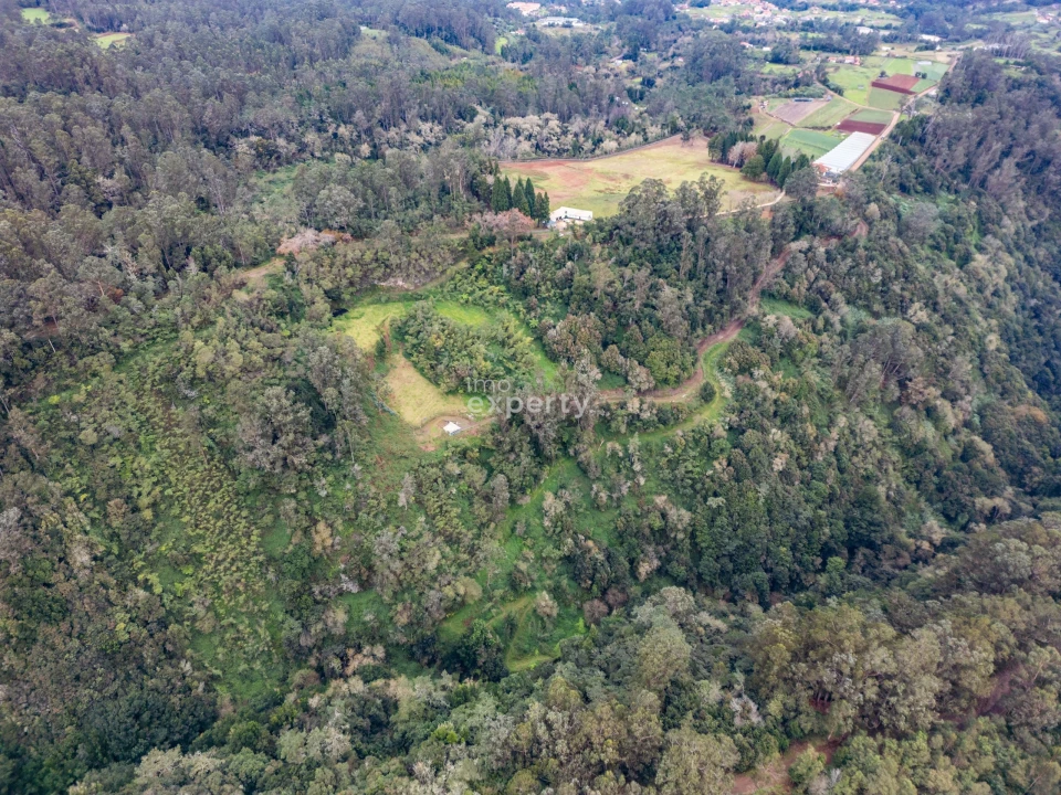 Terreno para Venda em Santana Foto 4