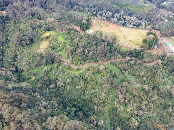 Terreno para Venda em Santana Foto 6