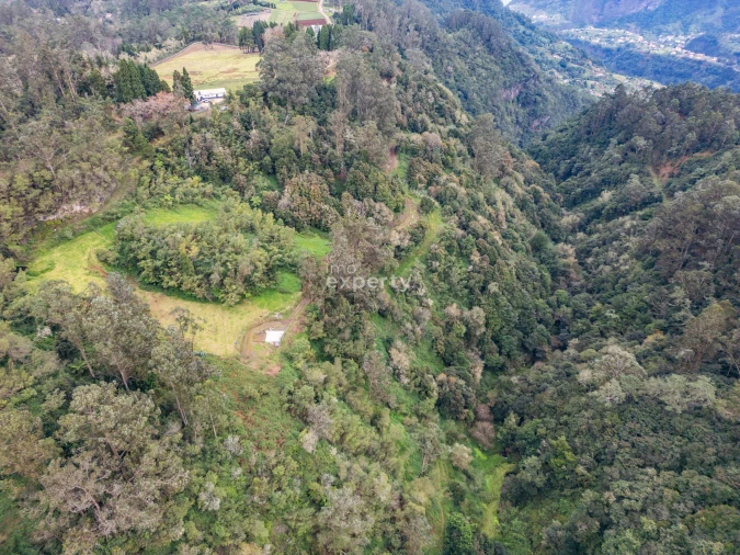 Terreno para Venda em Santana Foto 9
