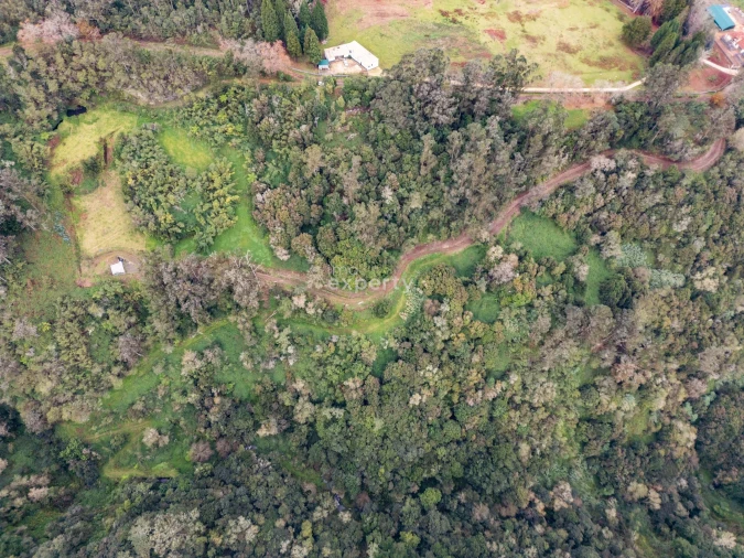 Terreno para Venda em Santana Foto 1