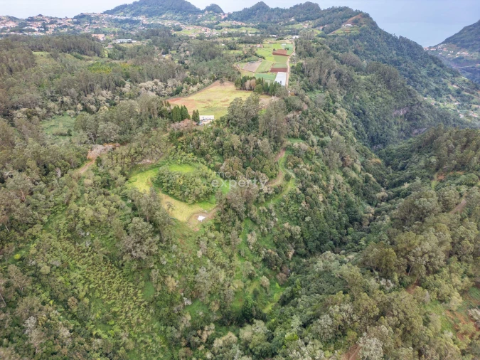 Terreno para Venda em Santana Foto 3