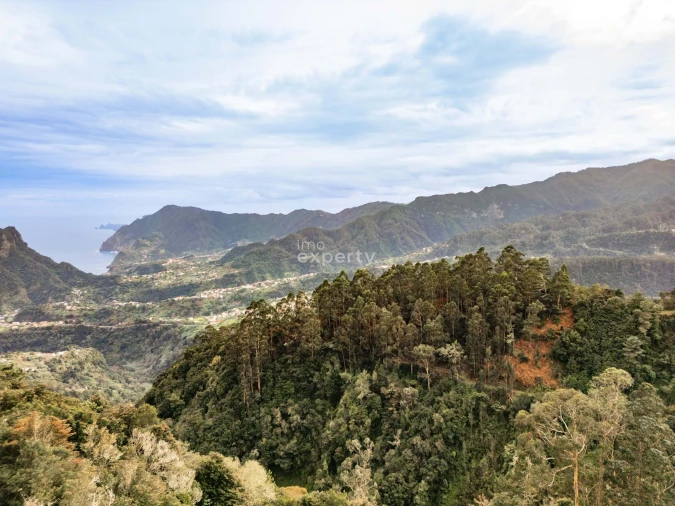 Terreno para Venda em Santana Foto 17