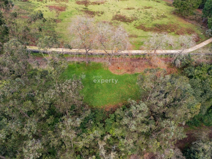 Terreno para Venda em Santana Foto 18