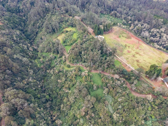 Terreno para Venda em Santana Foto 8