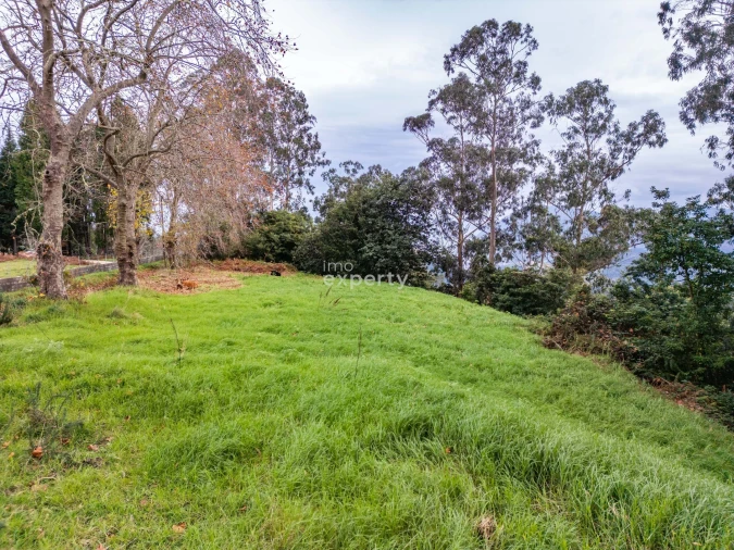 Terreno para Venda em Santana Foto 19