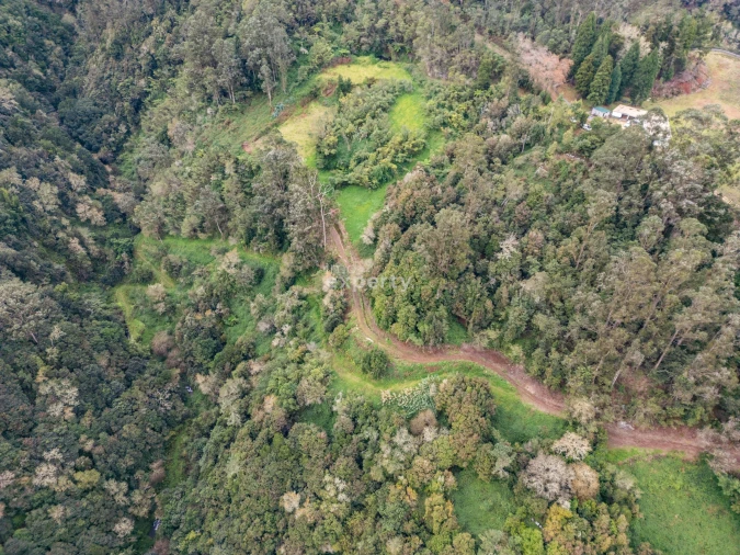 Terreno para Venda em Santana Foto 13