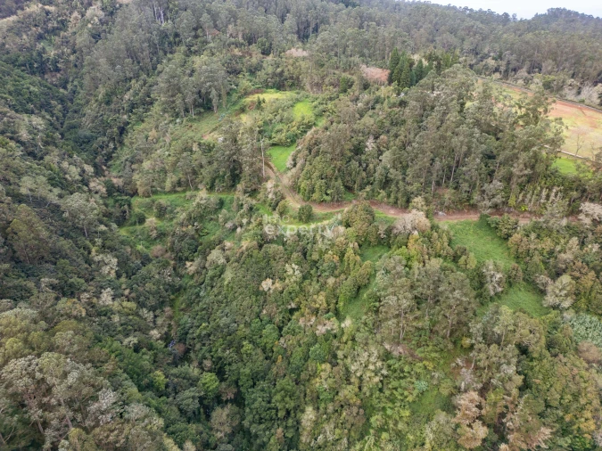 Terreno para Venda em Santana Foto 15