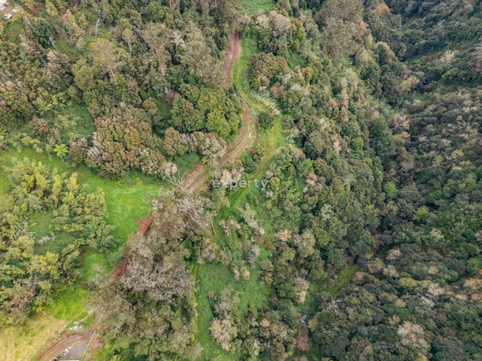 Terreno para Venda em Santana Foto 12