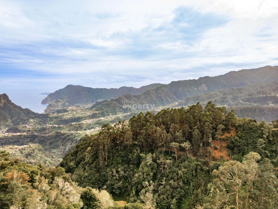 Terreno para Venda em Santana Foto 17
