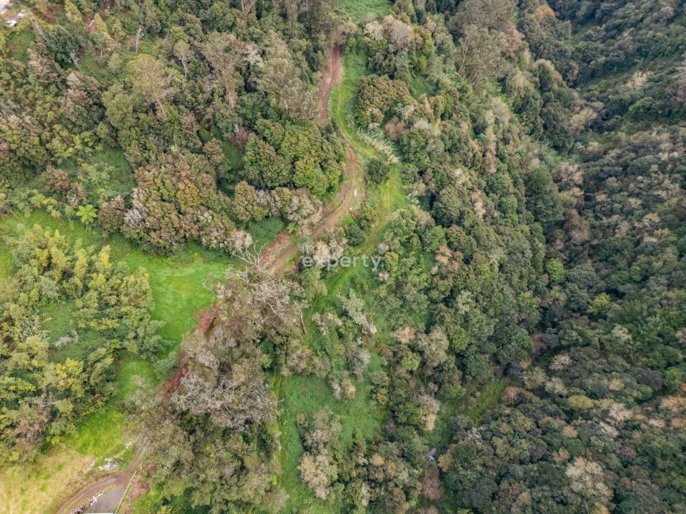 Terreno para Venda em Santana Foto 12