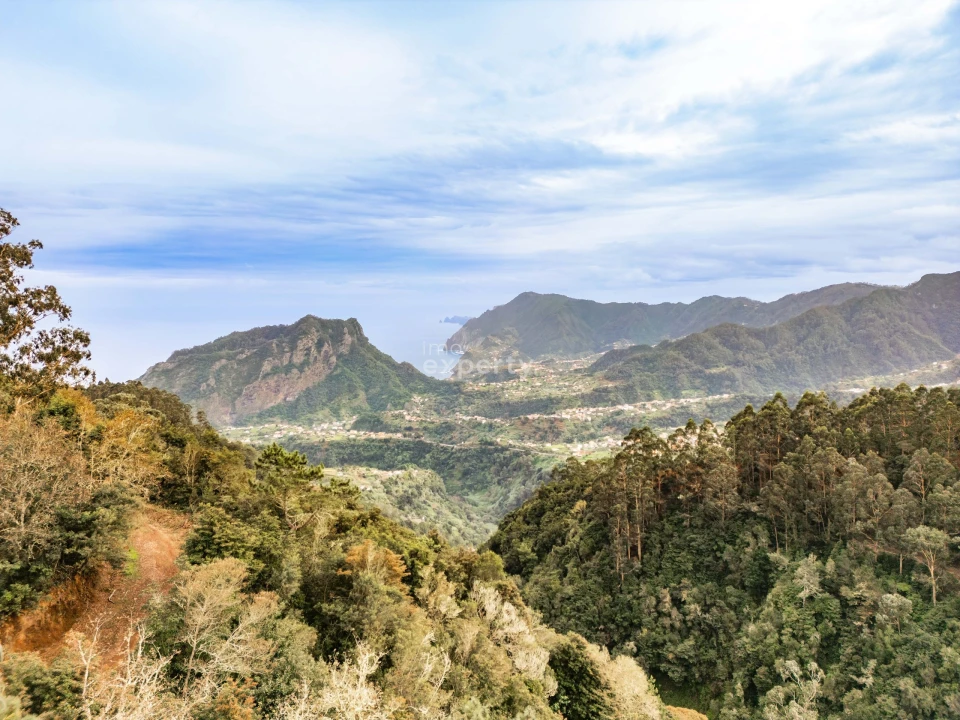 Terreno para Venda em Santana Foto 16