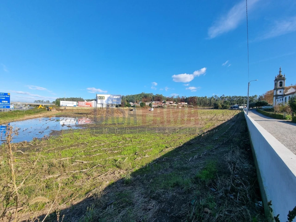 Terreno para Venda em Alvelos Foto 6