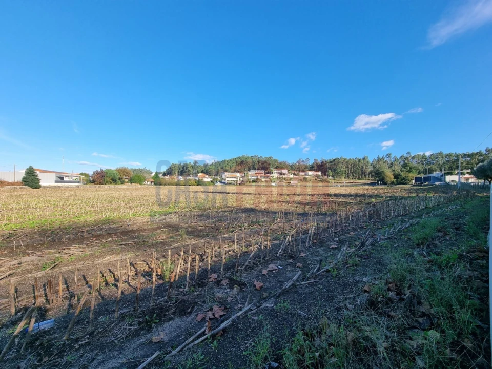 Terreno para Venda em Alvelos Foto 7