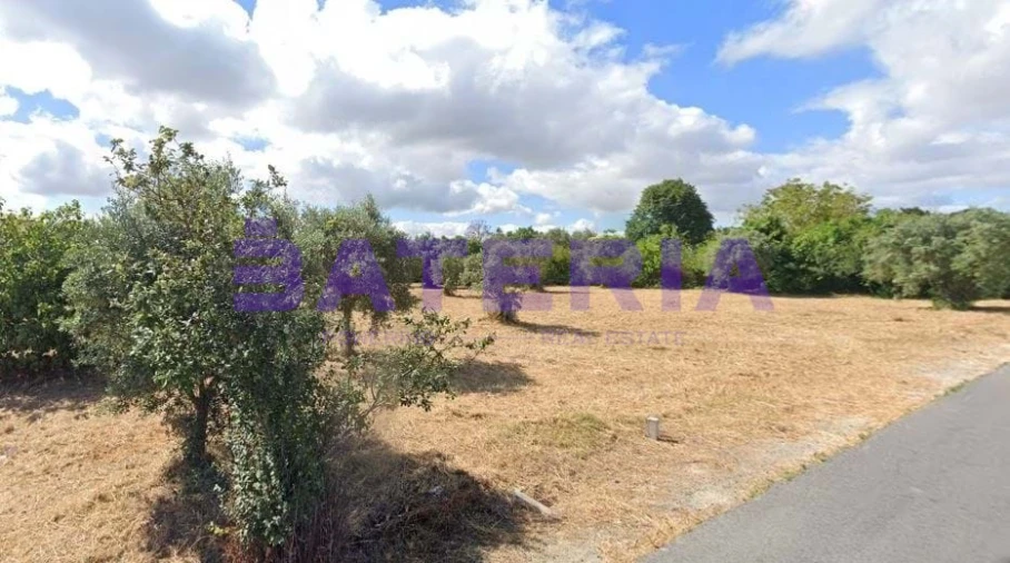 Terreno para Venda em Marvila, Ribeira Santarém, São Salvador, São Nicolau Foto 5