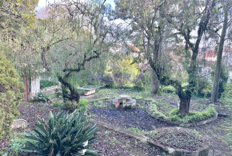 Quinta T50 para Venda em Carnaxide e Queijas Foto 11