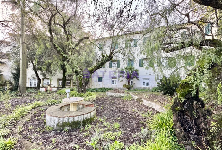 Quinta T50 para Venda em Carnaxide e Queijas Foto 3