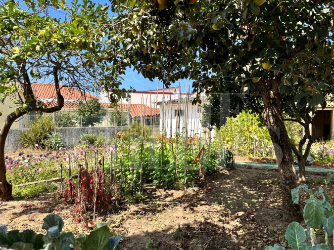 Moradia T3 para Venda em Beduído e Veiros Foto 40