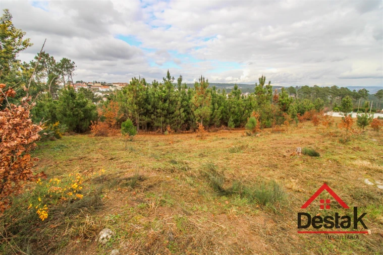 Terreno para Venda em Rio de Loba Foto 3
