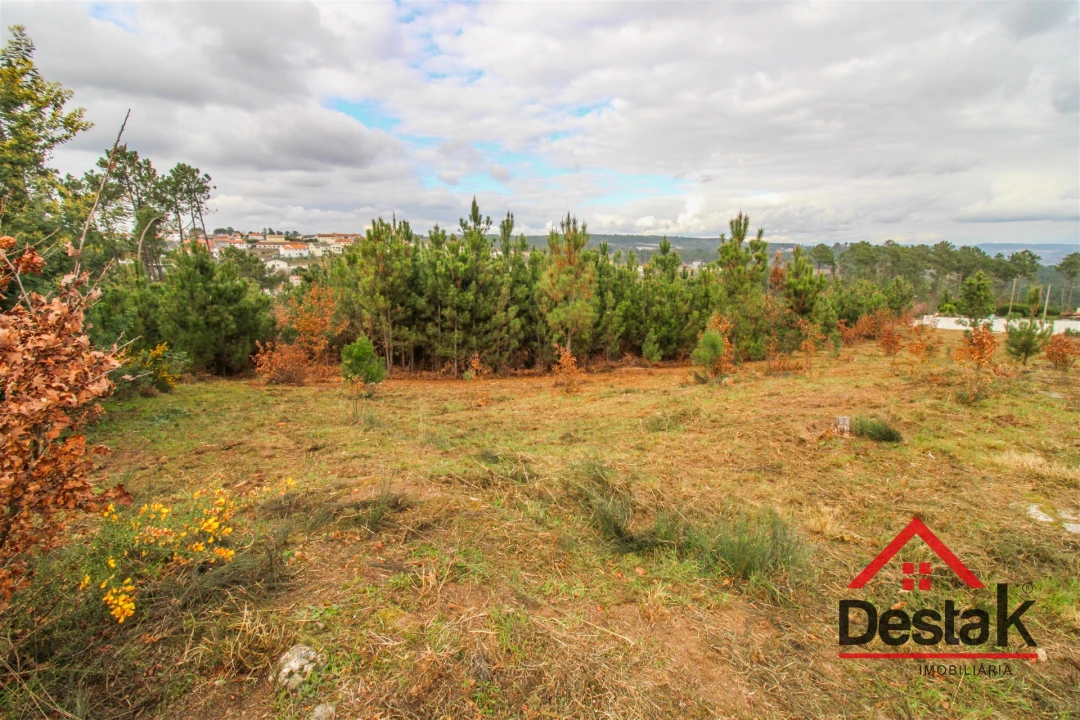 Terreno para Venda em Rio de Loba Foto 3