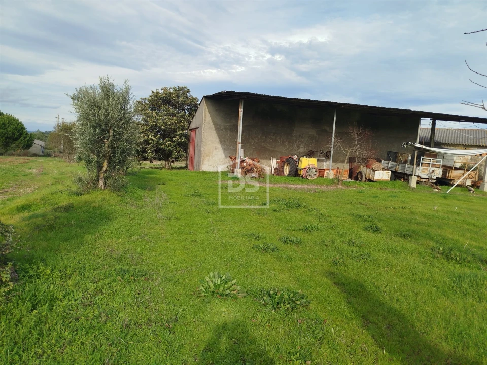 Moradia T4 para Venda em Tourais e Lajes Foto 10