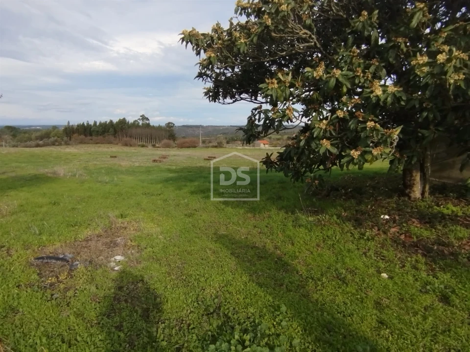 Moradia T4 para Venda em Tourais e Lajes Foto 2