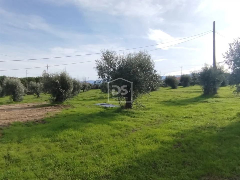 Moradia T4 para Venda em Tourais e Lajes Foto 8