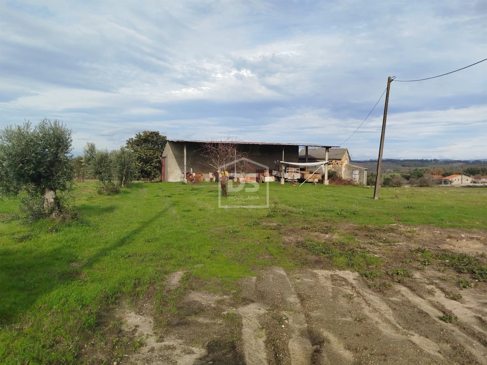 Moradia T4 para Venda em Tourais e Lajes Foto 7