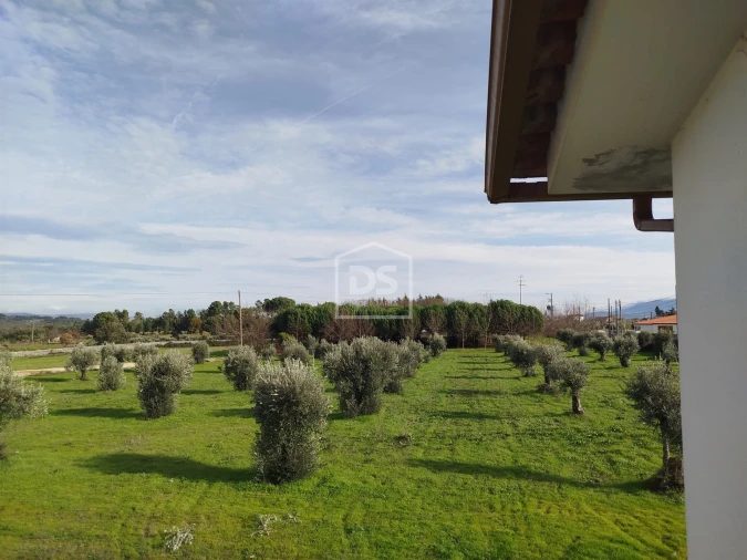 Moradia T4 para Venda em Tourais e Lajes Foto 50