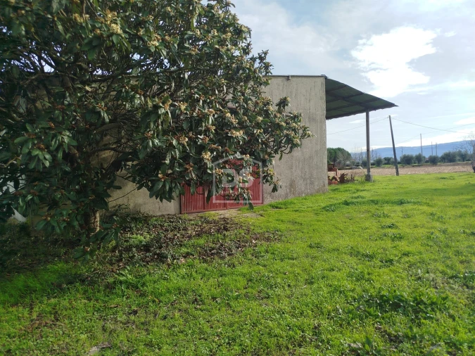 Moradia T4 para Venda em Tourais e Lajes Foto 6