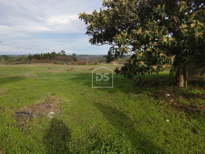 Moradia T4 para Venda em Tourais e Lajes Foto 2