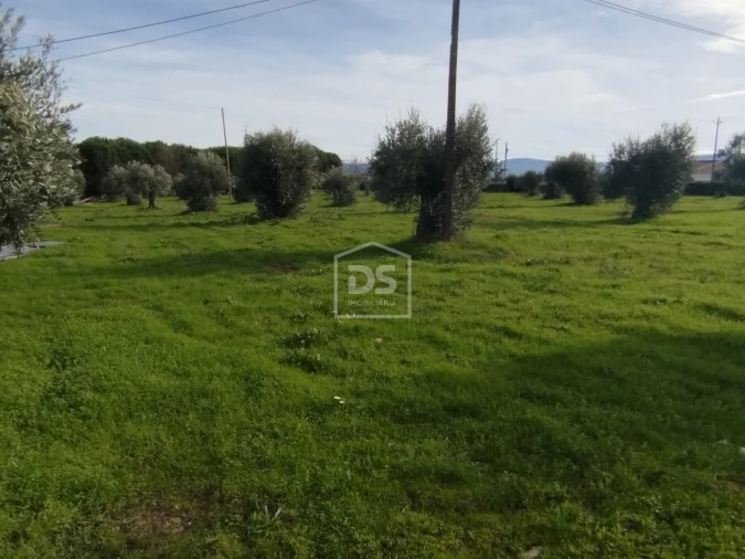 Moradia T4 para Venda em Tourais e Lajes Foto 13