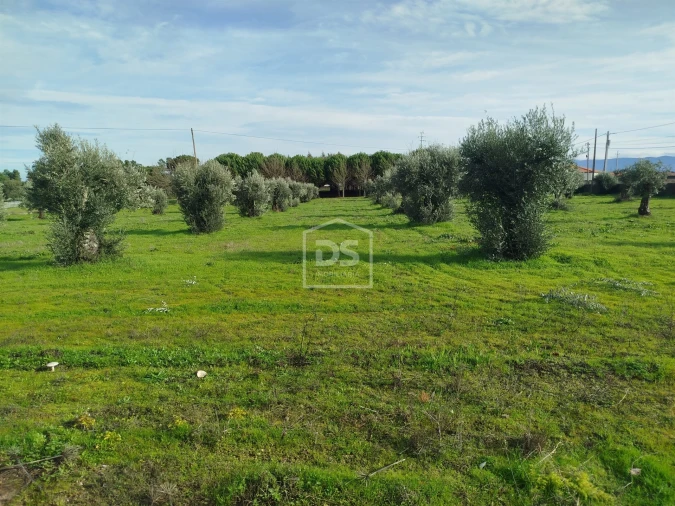 Moradia T4 para Venda em Tourais e Lajes Foto 29