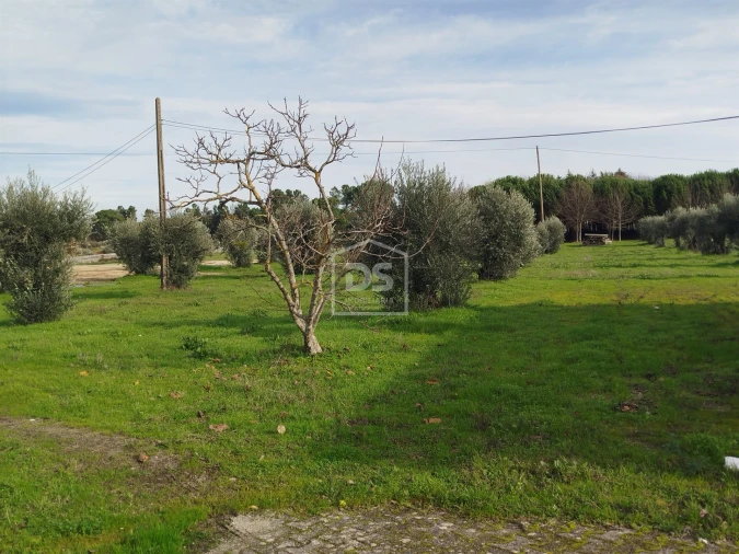 Moradia T4 para Venda em Tourais e Lajes Foto 14