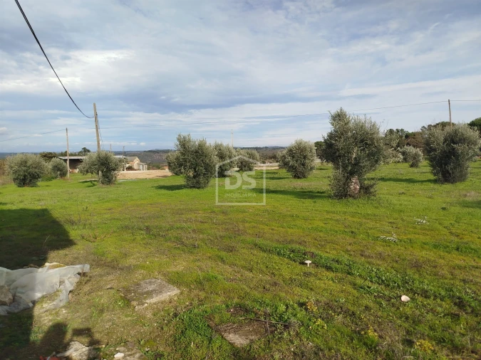 Moradia T4 para Venda em Tourais e Lajes Foto 27