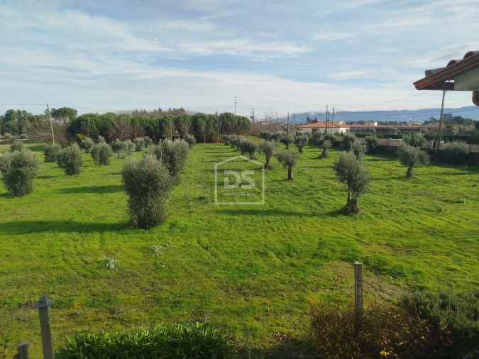 Moradia T4 para Venda em Tourais e Lajes Foto 79