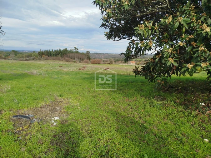 Moradia T4 para Venda em Tourais e Lajes Foto 5