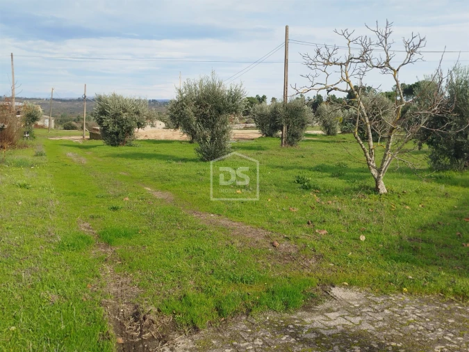 Moradia T4 para Venda em Tourais e Lajes Foto 15