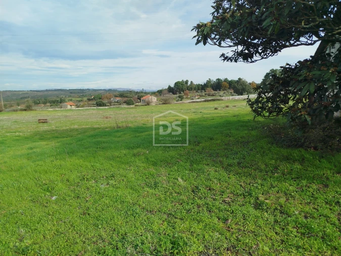 Moradia T4 para Venda em Tourais e Lajes Foto 3