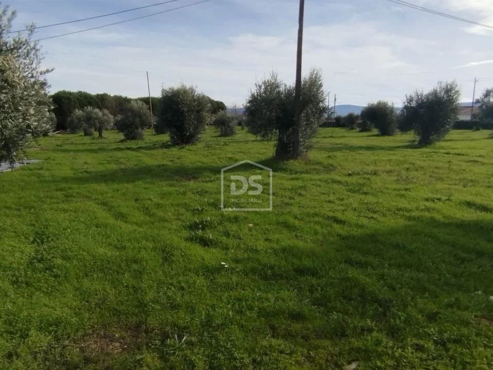 Moradia T4 para Venda em Tourais e Lajes Foto 13