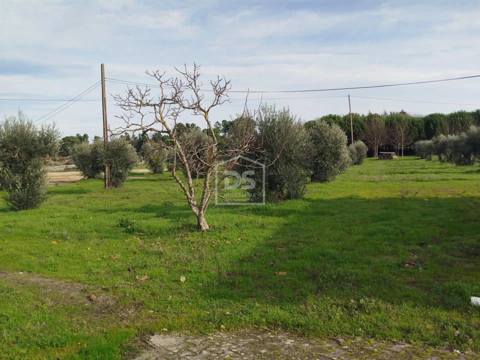 Moradia T4 para Venda em Tourais e Lajes Foto 14