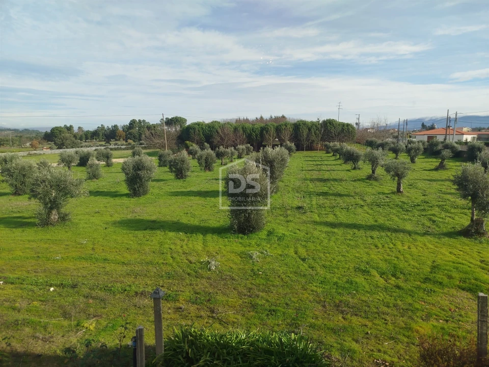 Moradia T4 para Venda em Tourais e Lajes Foto 72