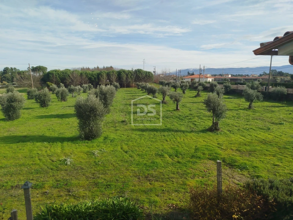 Moradia T4 para Venda em Tourais e Lajes Foto 79