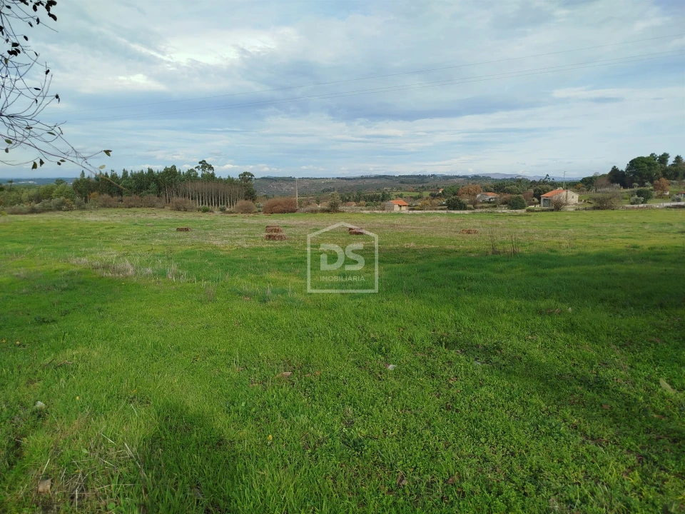 Moradia T4 para Venda em Tourais e Lajes Foto 4