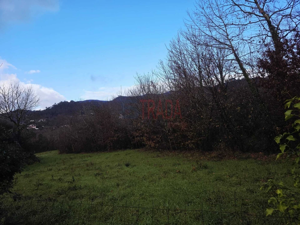 Terreno para Venda em Balança Foto 6