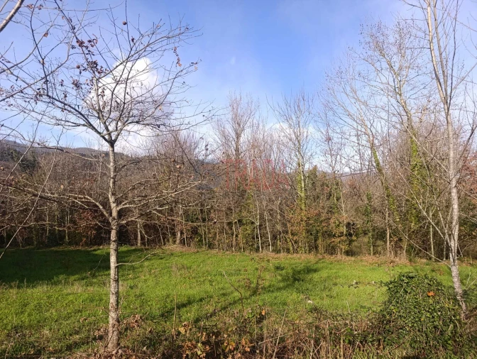 Terreno para Venda em Balança Foto 8