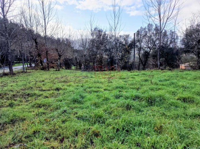 Terreno para Venda em Balança Foto 7