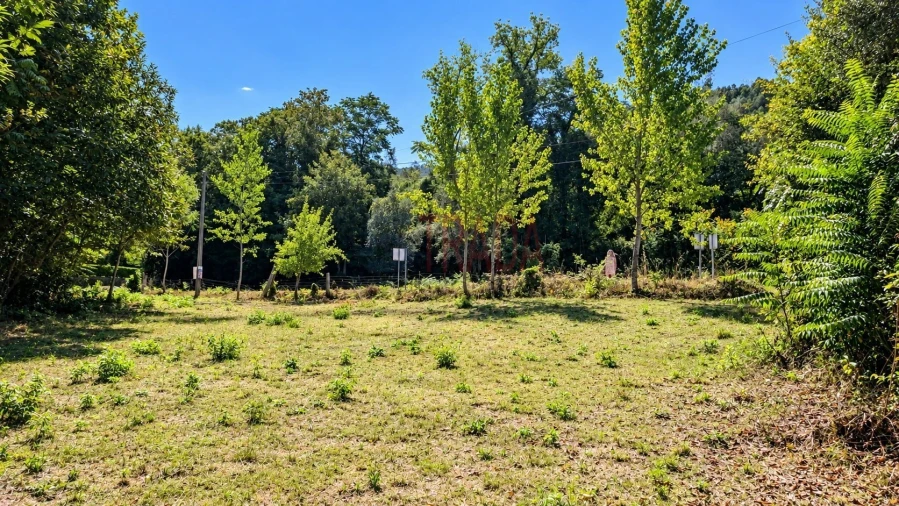 Terreno para Venda em Balança Foto 4