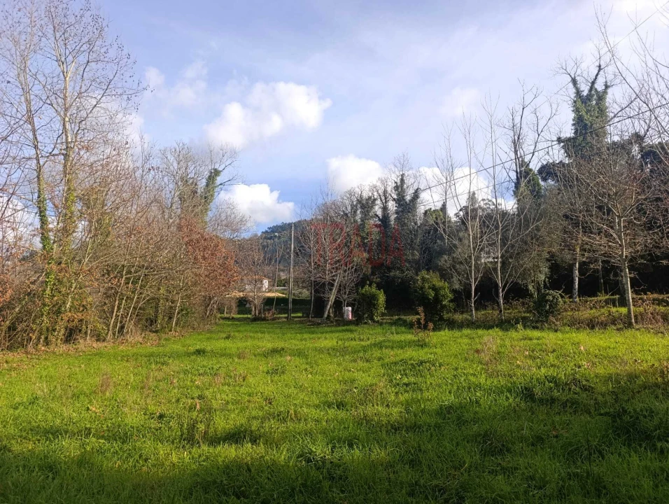 Terreno para Venda em Balança Foto 2