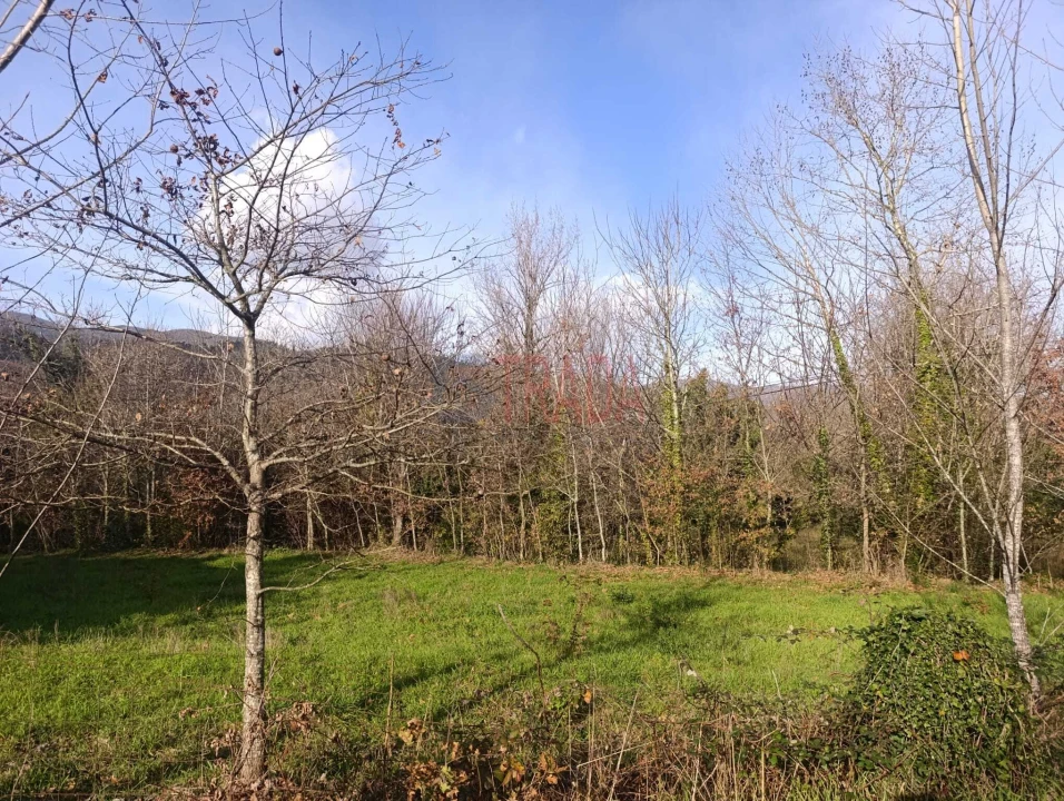 Terreno para Venda em Balança Foto 8